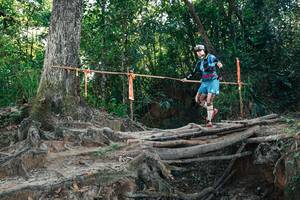 BIB: 
                            <button type="button" onclick="openModal(27753381)" class="btn btn-primary btn-sm float-right btn-popup" data-toggle="modal" data-target=".modal-high-quality">
                        <i class="fas fa-shopping-cart"></i> Add to Cart
                    </button>
                                            <button type="button" onclick="isThisMe(27753381, true)" class="btn btn-success btn-sm float-right btn-popup btn-isme hidden" data-toggle="tooltip" data-placement="bottom" title="นี่คือรูปของคุณใช่ไหม คลิกที่นี่เพื่อเอาเข้าอัลบั้ม">
                        <i class="fas fa-plus"></i> Add to album
                    </button>
                    <button type="button" onclick="isThisMe(27753381, false)" class="btn btn-warning btn-sm float-right btn-popup btn-isnotme hidden">
                        <i class="fas fa-ban"></i> Remove from album
                    </button>